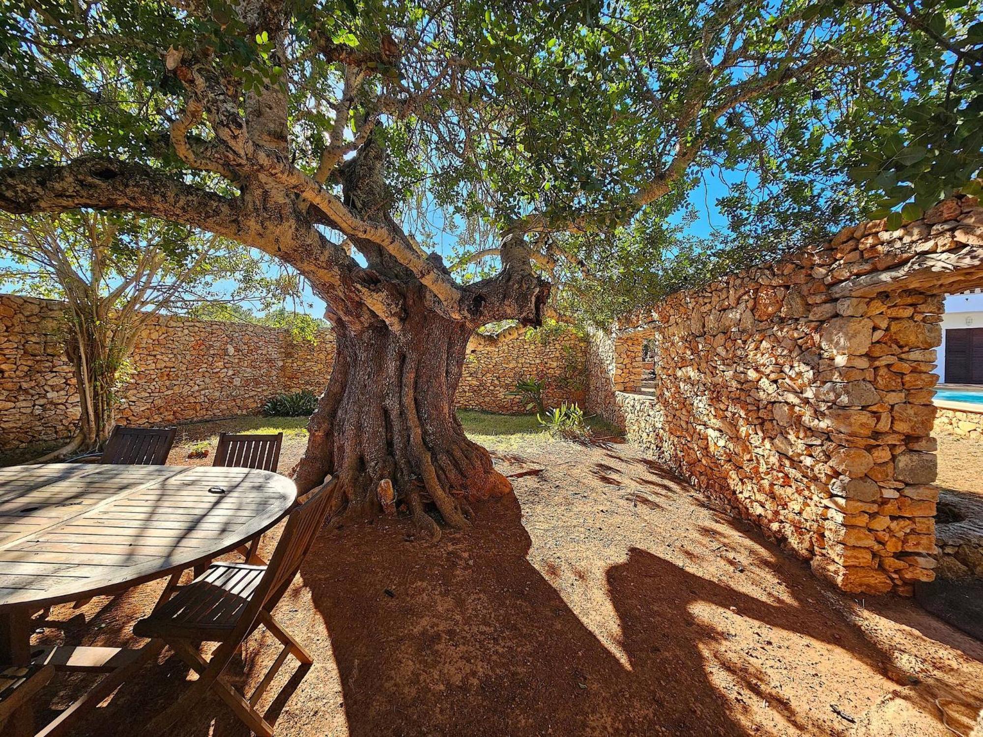 Cala Jondal "Can Amanaya" ซานโฮเซ เด ซา ตาลายา ภายนอก รูปภาพ